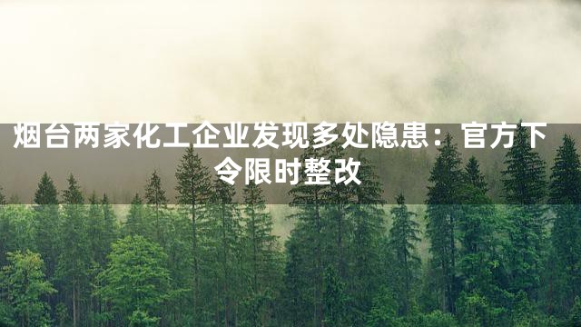 烟台两家化工企业发现多处隐患：官方下令限时整改