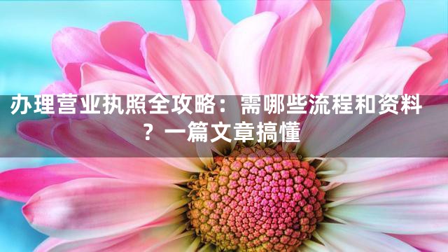 办理营业执照全攻略：需哪些流程和资料？一篇文章搞懂