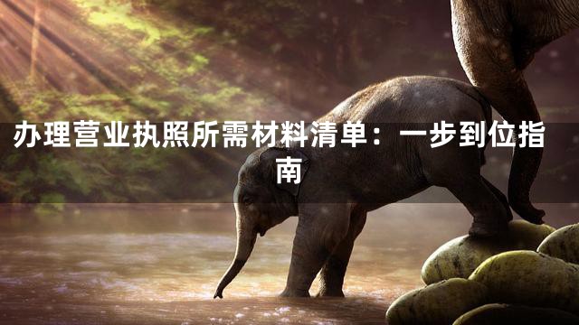 办理营业执照所需材料清单：一步到位指南
