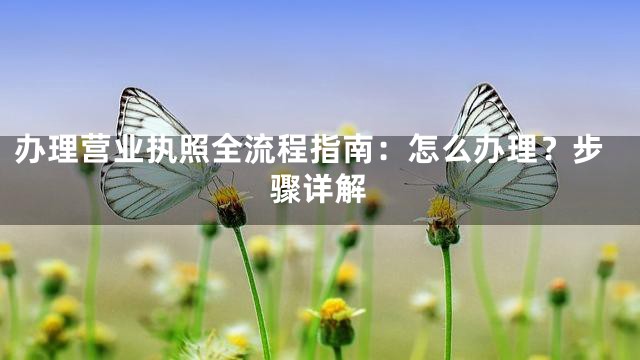 办理营业执照全流程指南：怎么办理？步骤详解