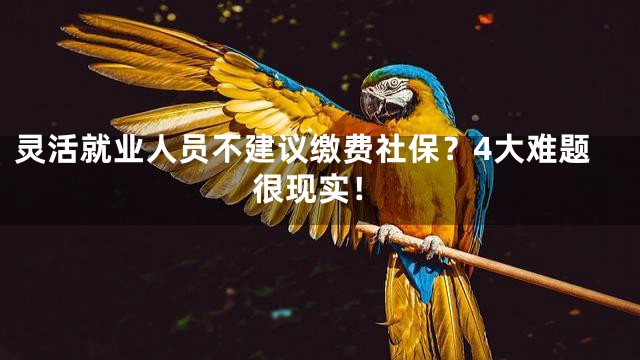 灵活就业人员不建议缴费社保？4大难题很现实！