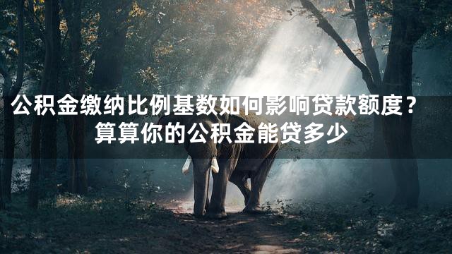 公积金缴纳比例基数如何影响贷款额度？算算你的公积金能贷多少