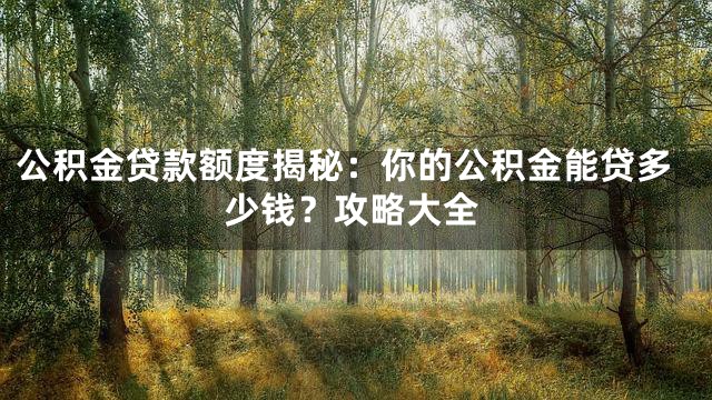 公积金贷款额度揭秘：你的公积金能贷多少钱？攻略大全