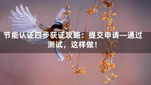 节能认证四步获证攻略：提交申请—通过测试，这样做！