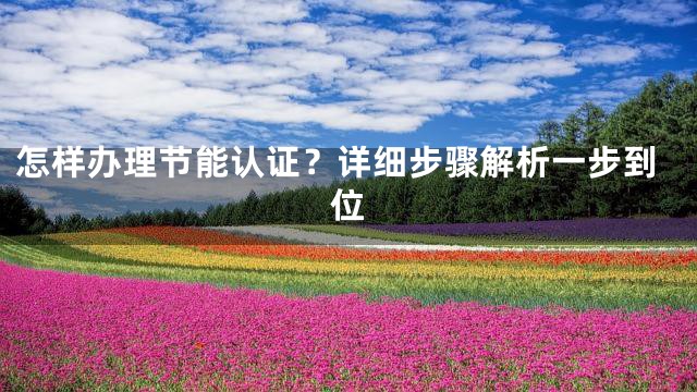 怎样办理节能认证？详细步骤解析一步到位
