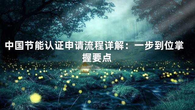 中国节能认证申请流程详解：一步到位掌握要点