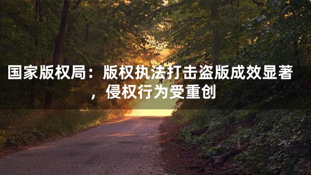 国家版权局：版权执法打击盗版成效显著，侵权行为受重创