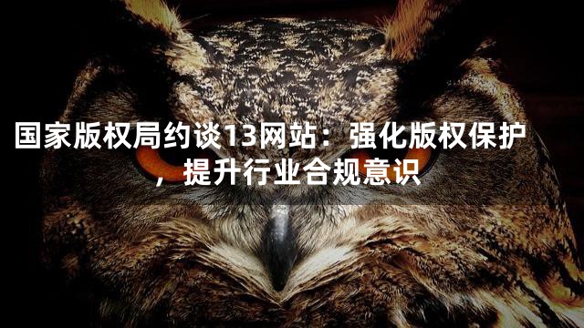 国家版权局约谈13网站：强化版权保护，提升行业合规意识