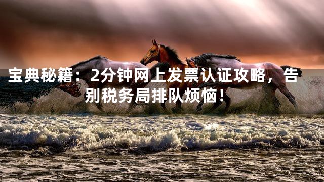 宝典秘籍：2分钟网上发票认证攻略，告别税务局排队烦恼！