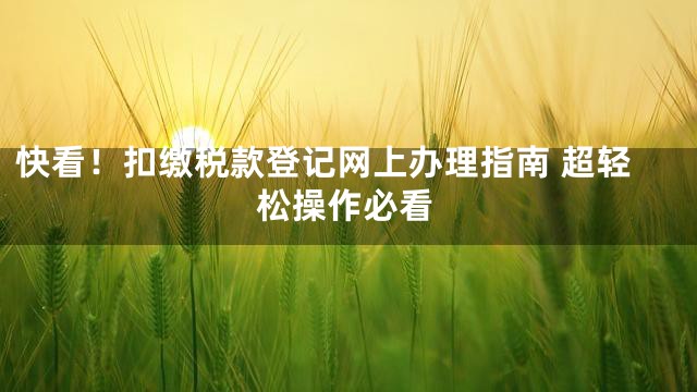 快看！扣缴税款登记网上办理指南 超轻松操作必看