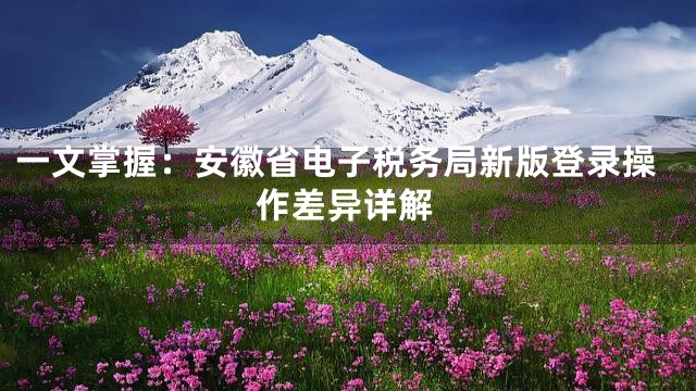 一文掌握：安徽省电子税务局新版登录操作差异详解