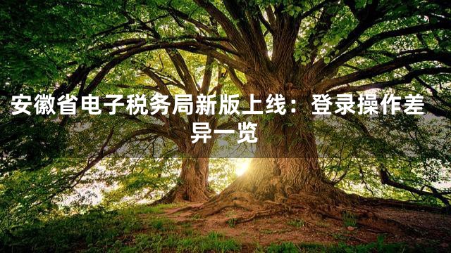 安徽省电子税务局新版上线：登录操作差异一览