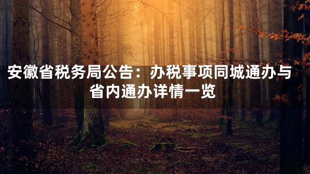 安徽省税务局公告：办税事项同城通办与省内通办详情一览
