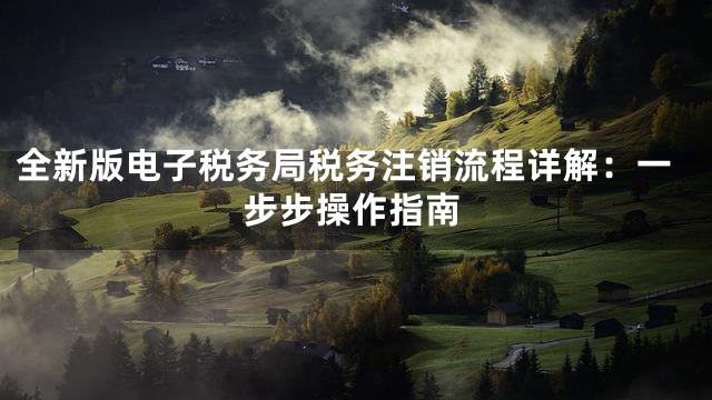 全新版电子税务局税务注销流程详解：一步步操作指南