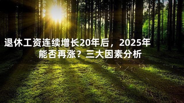 退休工资连续增长20年后，2025年能否再涨？三大因素分析
