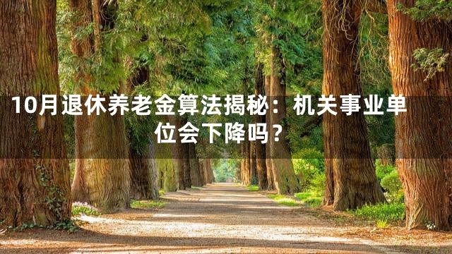 10月退休养老金算法揭秘：机关事业单位会下降吗？