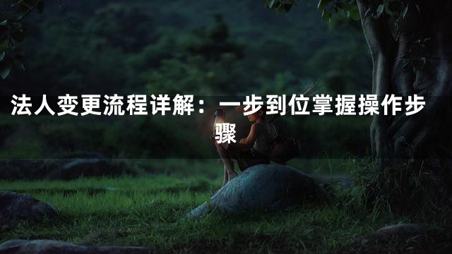 法人变更流程详解：一步到位掌握操作步骤