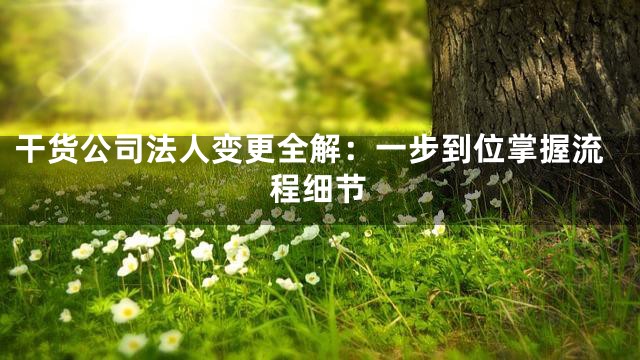 干货公司法人变更全解：一步到位掌握流程细节