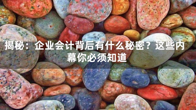 揭秘：企业会计背后有什么秘密？这些内幕你必须知道