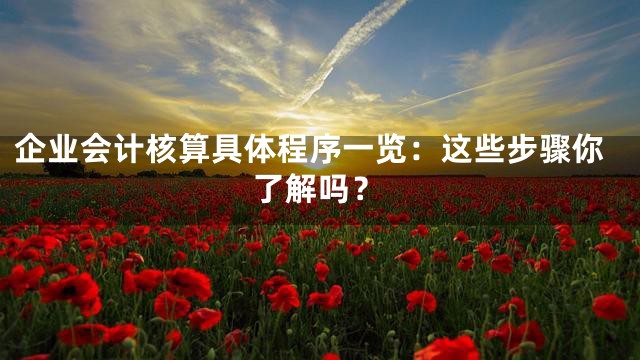 企业会计核算具体程序一览：这些步骤你了解吗？