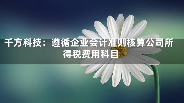 千方科技：遵循企业会计准则核算公司所得税费用科目