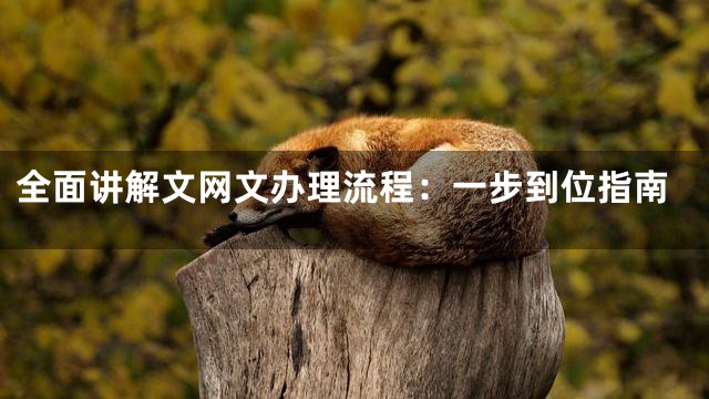 全面讲解文网文办理流程：一步到位指南