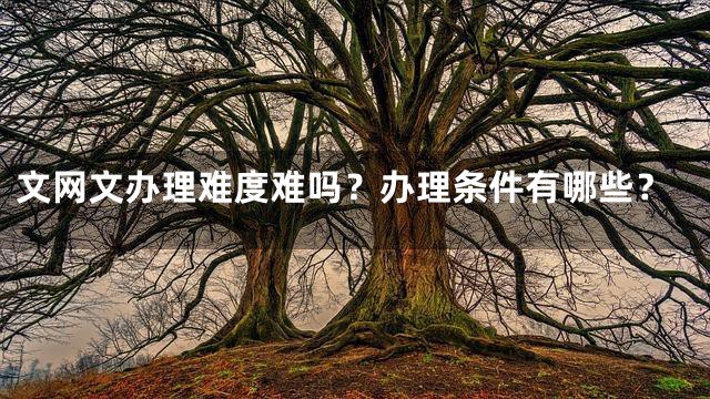 文网文办理难度难吗？办理条件有哪些？