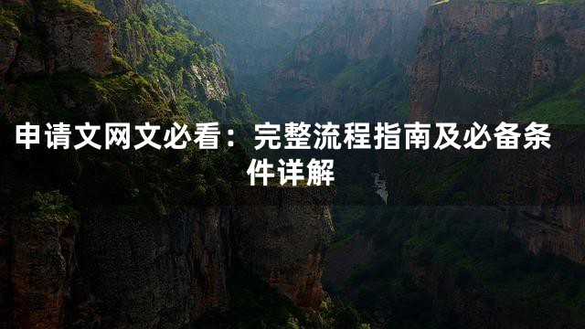申请文网文必看：完整流程指南及必备条件详解