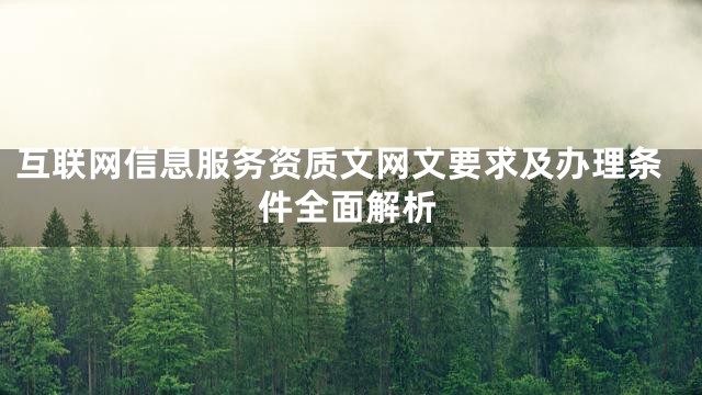 互联网信息服务资质文网文要求及办理条件全面解析