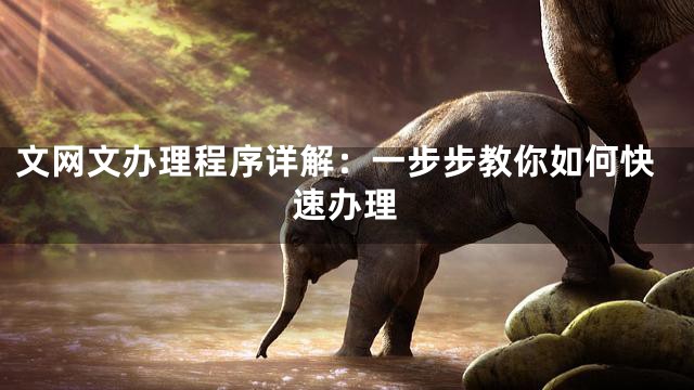 文网文办理程序详解：一步步教你如何快速办理