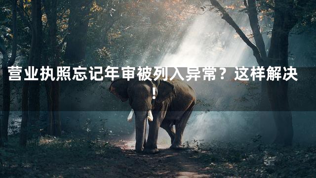 营业执照忘记年审被列入异常？这样解决！