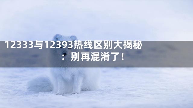 12333与12393热线区别大揭秘：别再混淆了！