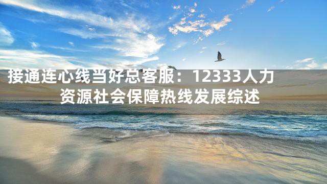 接通连心线当好总客服：12333人力资源社会保障热线发展综述