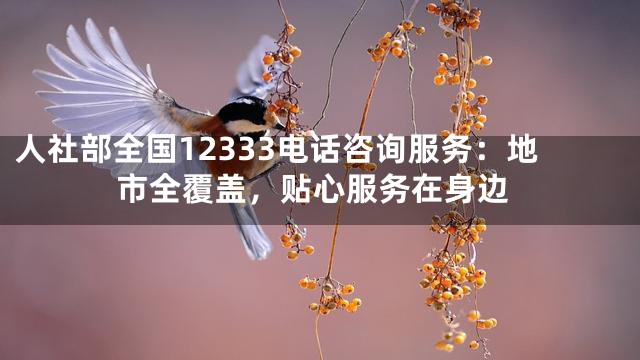 人社部全国12333电话咨询服务：地市全覆盖，贴心服务在身边