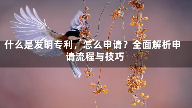 什么是发明专利，怎么申请？全面解析申请流程与技巧