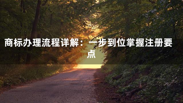 商标办理流程详解：一步到位掌握注册要点