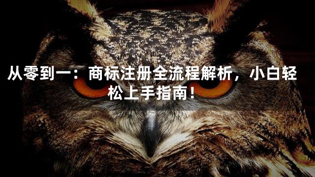 从零到一：商标注册全流程解析，小白轻松上手指南！