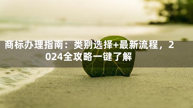 商标办理指南：类别选择+最新流程，2024全攻略一键了解