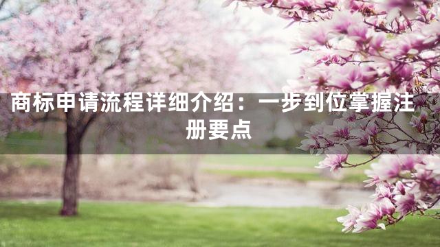 商标申请流程详细介绍：一步到位掌握注册要点