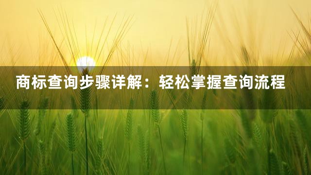 商标查询步骤详解：轻松掌握查询流程