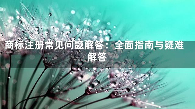 商标注册常见问题解答：全面指南与疑难解答