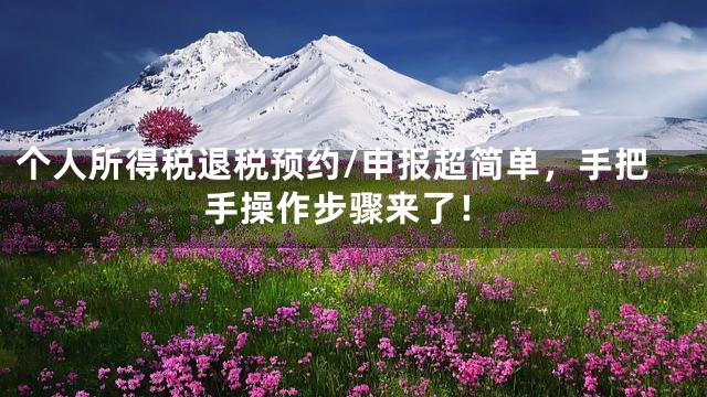 个人所得税退税预约/申报超简单，手把手操作步骤来了！