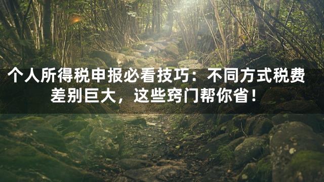 个人所得税申报必看技巧：不同方式税费差别巨大，这些窍门帮你省！