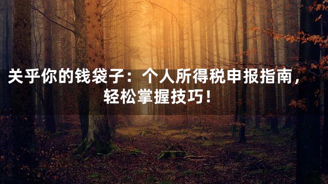 关乎你的钱袋子：个人所得税申报指南，轻松掌握技巧！