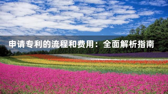 申请专利的流程和费用：全面解析指南
