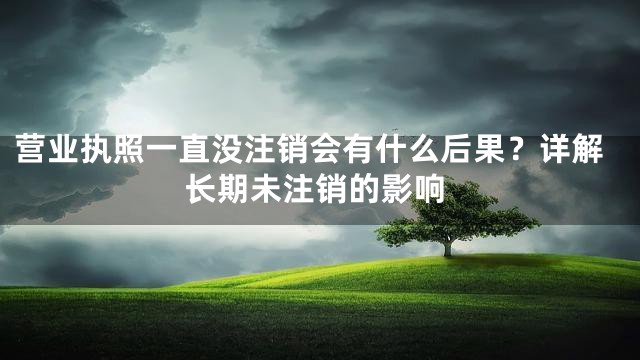 营业执照一直没注销会有什么后果？详解长期未注销的影响