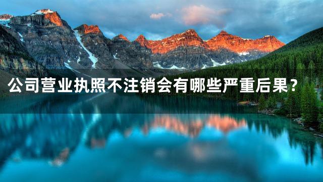 公司营业执照不注销会有哪些严重后果？