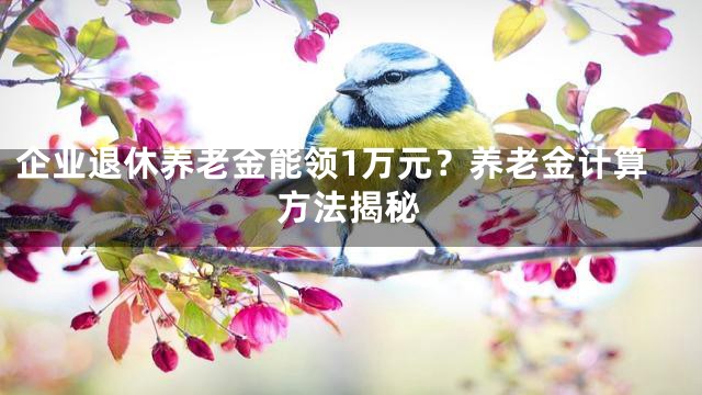 企业退休养老金能领1万元？养老金计算方法揭秘