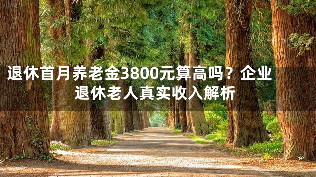 退休首月养老金3800元算高吗？企业退休老人真实收入解析