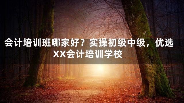 会计培训班哪家好？实操初级中级，优选XX会计培训学校